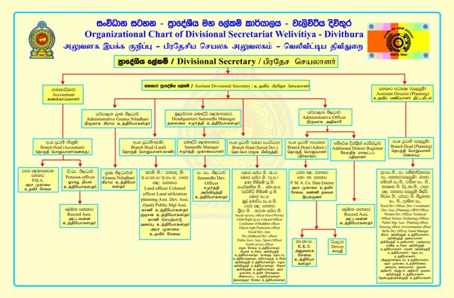 Organizational Chart Welivitiya